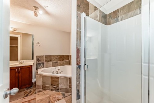 106-6 Hemlock Crescent Sw, Calgary, AB - Indoor Photo Showing Bathroom