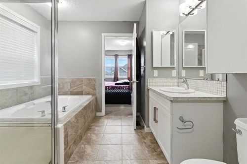 313 Kings Heights Drive Se, Airdrie, AB - Indoor Photo Showing Bathroom