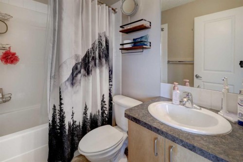 469 Morningside Way Sw, Airdrie, AB - Indoor Photo Showing Bathroom