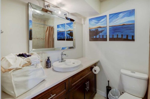 469 Morningside Way Sw, Airdrie, AB - Indoor Photo Showing Bathroom