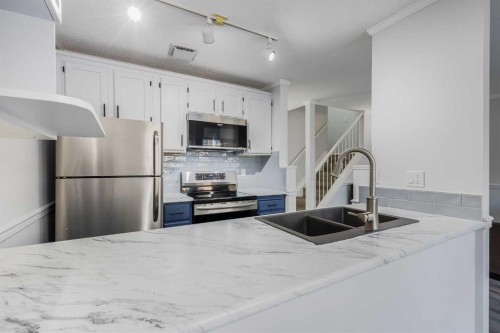 3-93 Grier Place Ne, Calgary, AB - Indoor Photo Showing Kitchen With Stainless Steel Kitchen With Double Sink With Upgraded Kitchen