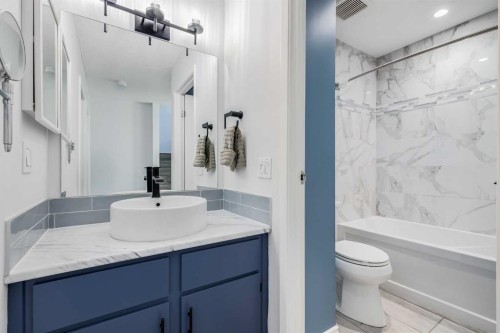 3-93 Grier Place Ne, Calgary, AB - Indoor Photo Showing Bathroom