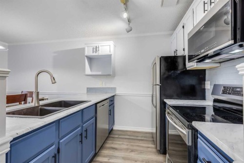 3-93 Grier Place Ne, Calgary, AB - Indoor Photo Showing Kitchen With Stainless Steel Kitchen With Double Sink