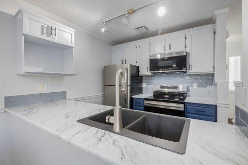 3-93 Grier Place Ne, Calgary, AB - Indoor Photo Showing Kitchen With Stainless Steel Kitchen With Double Sink