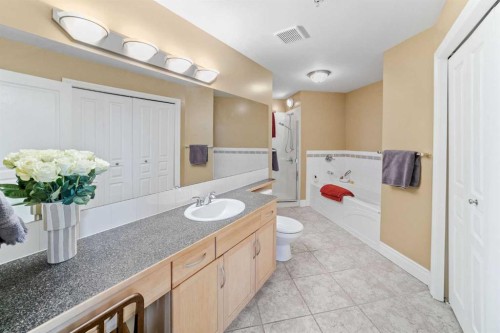 401-4 14 Street Nw, Calgary, AB - Indoor Photo Showing Bathroom