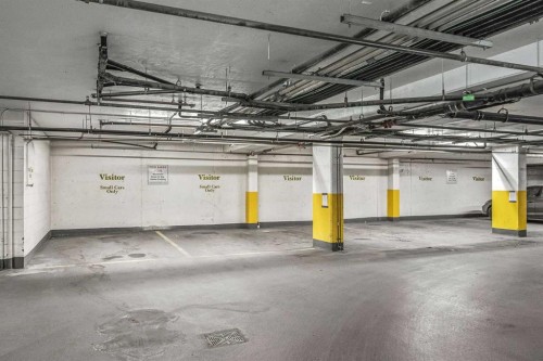 401-4 14 Street Nw, Calgary, AB - Indoor Photo Showing Garage