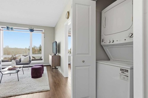 403-607 17 Avenue Nw, Calgary, AB - Indoor Photo Showing Laundry Room