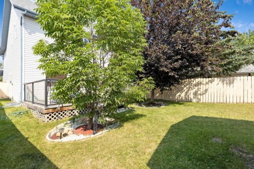 166 Harvest Rose Circle Ne, Calgary, AB - Outdoor