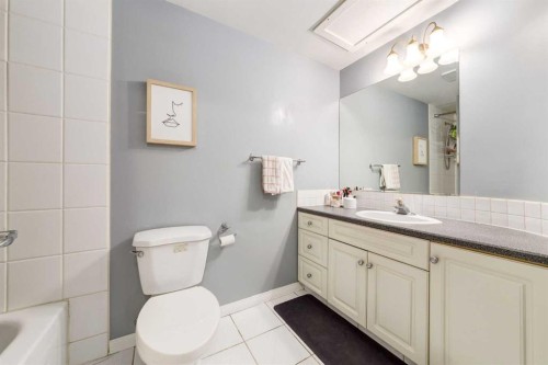 105-230 21 Avenue Sw, Calgary, AB - Indoor Photo Showing Bathroom