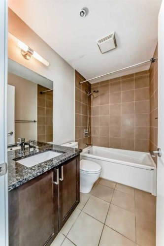 201-4303 1 Street Ne, Calgary, AB - Indoor Photo Showing Bathroom