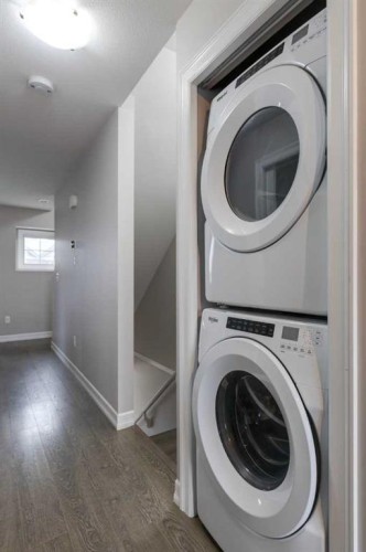 1404-121 Copperpond Common Se, Calgary, AB - Indoor Photo Showing Laundry Room