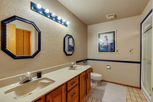 223 Shawnee Mews Sw, Calgary, AB - Indoor Photo Showing Bathroom