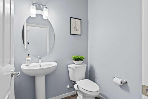 103 Masters Heights Se, Calgary, AB - Indoor Photo Showing Bathroom