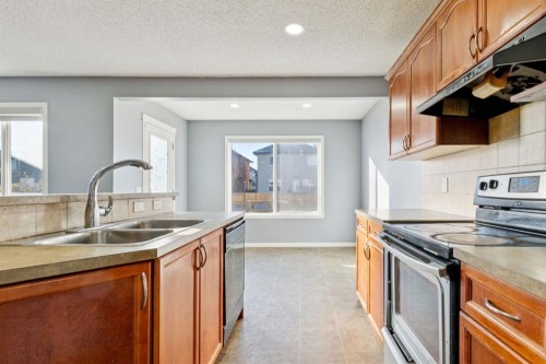 8454 Saddleridge Drive Ne, Calgary, AB - Indoor Photo Showing Kitchen With Double Sink