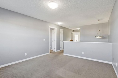 8454 Saddleridge Drive Ne, Calgary, AB - Indoor Photo Showing Other Room
