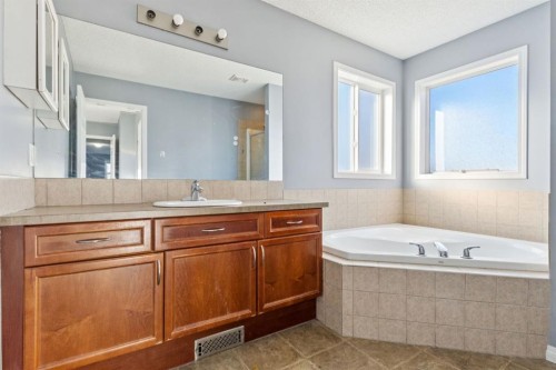 8454 Saddleridge Drive Ne, Calgary, AB - Indoor Photo Showing Bathroom