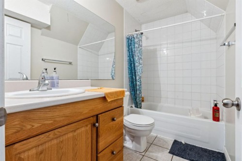 8454 Saddleridge Drive Ne, Calgary, AB - Indoor Photo Showing Bathroom