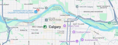 227 10 Street Nw, Calgary, AB 