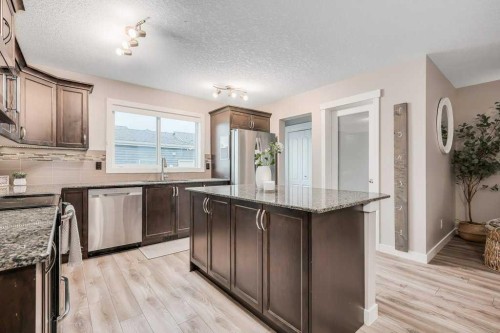 29 Legacy Mews Se, Calgary, AB - Indoor Photo Showing Kitchen With Stainless Steel Kitchen With Upgraded Kitchen