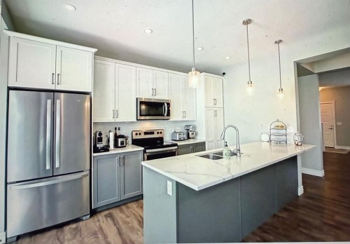 10077 46 Street Ne, Calgary, AB - Indoor Photo Showing Kitchen With Stainless Steel Kitchen With Double Sink With Upgraded Kitchen