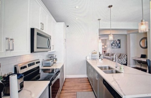 10077 46 Street Ne, Calgary, AB - Indoor Photo Showing Kitchen With Stainless Steel Kitchen With Double Sink With Upgraded Kitchen