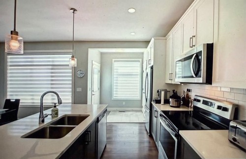 10077 46 Street Ne, Calgary, AB - Indoor Photo Showing Kitchen With Stainless Steel Kitchen With Double Sink With Upgraded Kitchen