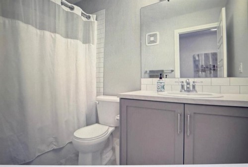 10077 46 Street Ne, Calgary, AB - Indoor Photo Showing Bathroom