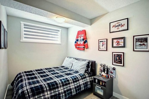 10077 46 Street Ne, Calgary, AB - Indoor Photo Showing Bedroom