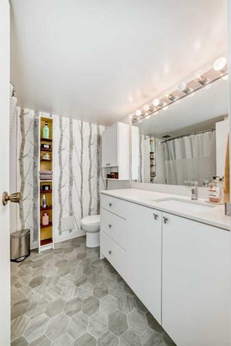 602-340 14 Avenue Sw, Calgary, AB - Indoor Photo Showing Bathroom