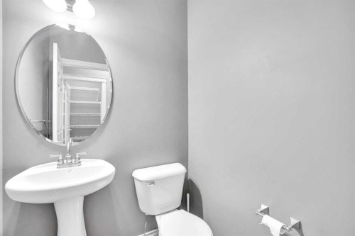 208 Sagewood Landing Sw, Airdrie, AB - Indoor Photo Showing Bathroom