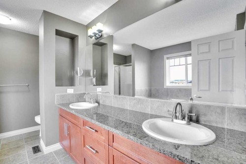 208 Sagewood Landing Sw, Airdrie, AB - Indoor Photo Showing Bathroom