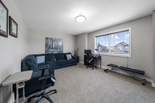 514 Skyview Ranch Way Ne, Calgary, AB - Indoor