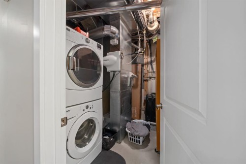514 Skyview Ranch Way Ne, Calgary, AB - Indoor Photo Showing Laundry Room