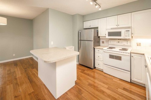 1805-650 10 Street Sw, Calgary, AB - Indoor Photo Showing Kitchen