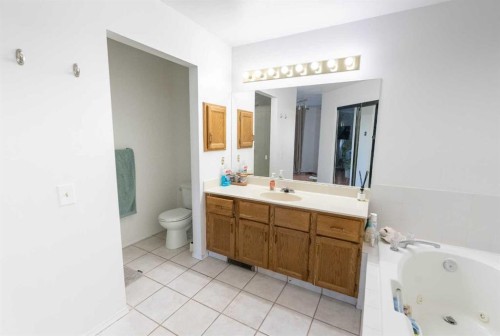 33 Sundown Close Se, Calgary, AB - Indoor Photo Showing Bathroom