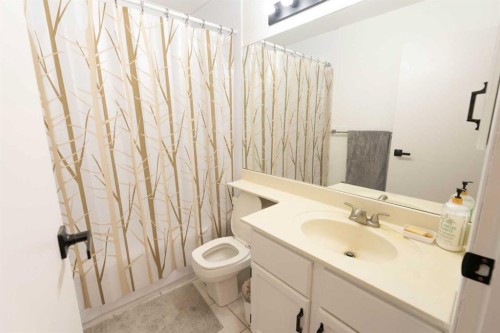 33 Sundown Close Se, Calgary, AB - Indoor Photo Showing Bathroom
