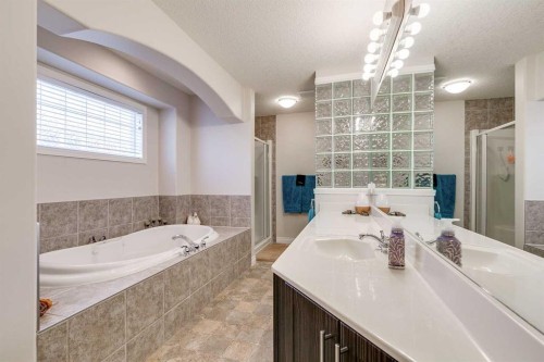 123 Springmere Place, Chestermere, AB - Indoor Photo Showing Bathroom