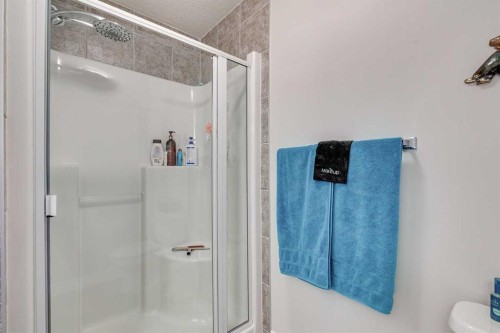 123 Springmere Place, Chestermere, AB - Indoor Photo Showing Bathroom