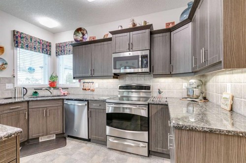 123 Springmere Place, Chestermere, AB - Indoor Photo Showing Kitchen With Stainless Steel Kitchen With Upgraded Kitchen