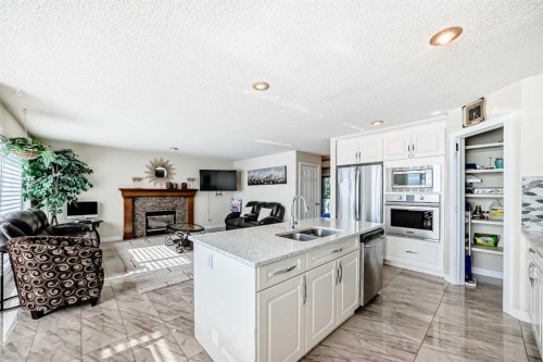 41 Covette Bay Ne, Calgary, AB - Indoor Photo Showing Kitchen With Fireplace With Double Sink With Upgraded Kitchen