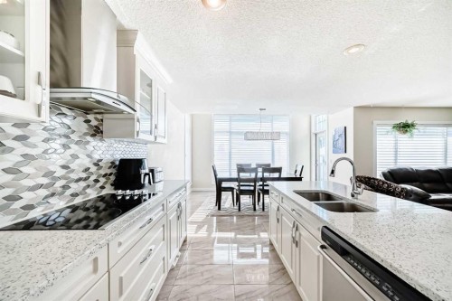 41 Covette Bay Ne, Calgary, AB - Indoor Photo Showing Kitchen With Double Sink With Upgraded Kitchen
