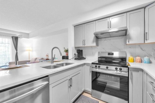 2214-175 Panatella Hill Nw, Calgary, AB - Indoor Photo Showing Kitchen With Double Sink