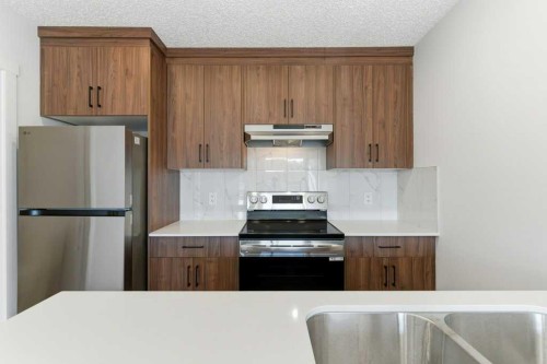 102-156 Park Street, Cochrane, AB - Indoor Photo Showing Kitchen With Double Sink