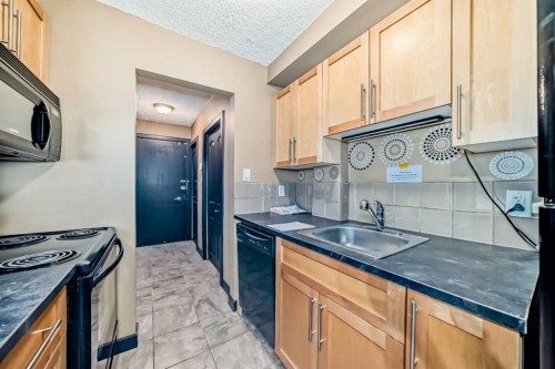 104-620 15 Avenue Sw, Calgary, AB - Indoor Photo Showing Kitchen