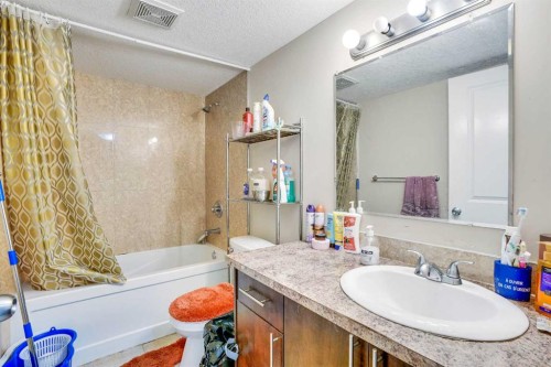 272 Skyview Shores Manor Ne, Calgary, AB - Indoor Photo Showing Bathroom