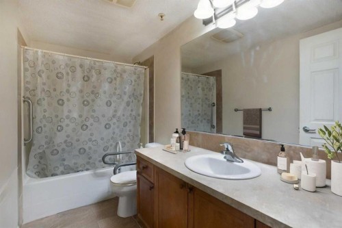 2107-5200 44 Avenue Ne, Calgary, AB - Indoor Photo Showing Bathroom