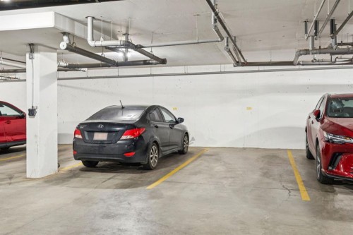 1105-33 Carringham Gate Nw, Calgary, AB - Indoor Photo Showing Garage