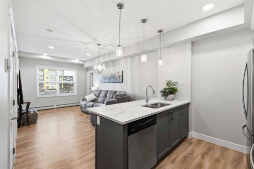 203-19661 40 Street Se, Calgary, AB - Indoor Photo Showing Kitchen With Double Sink With Upgraded Kitchen