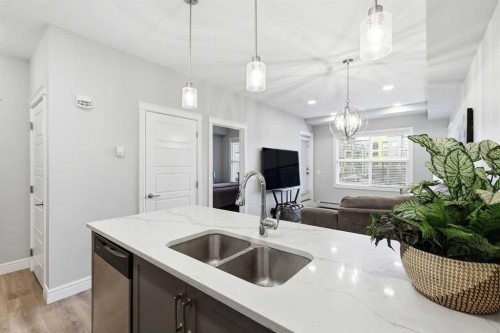 203-19661 40 Street Se, Calgary, AB - Indoor Photo Showing Kitchen With Double Sink