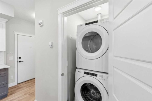 203-19661 40 Street Se, Calgary, AB - Indoor Photo Showing Laundry Room
